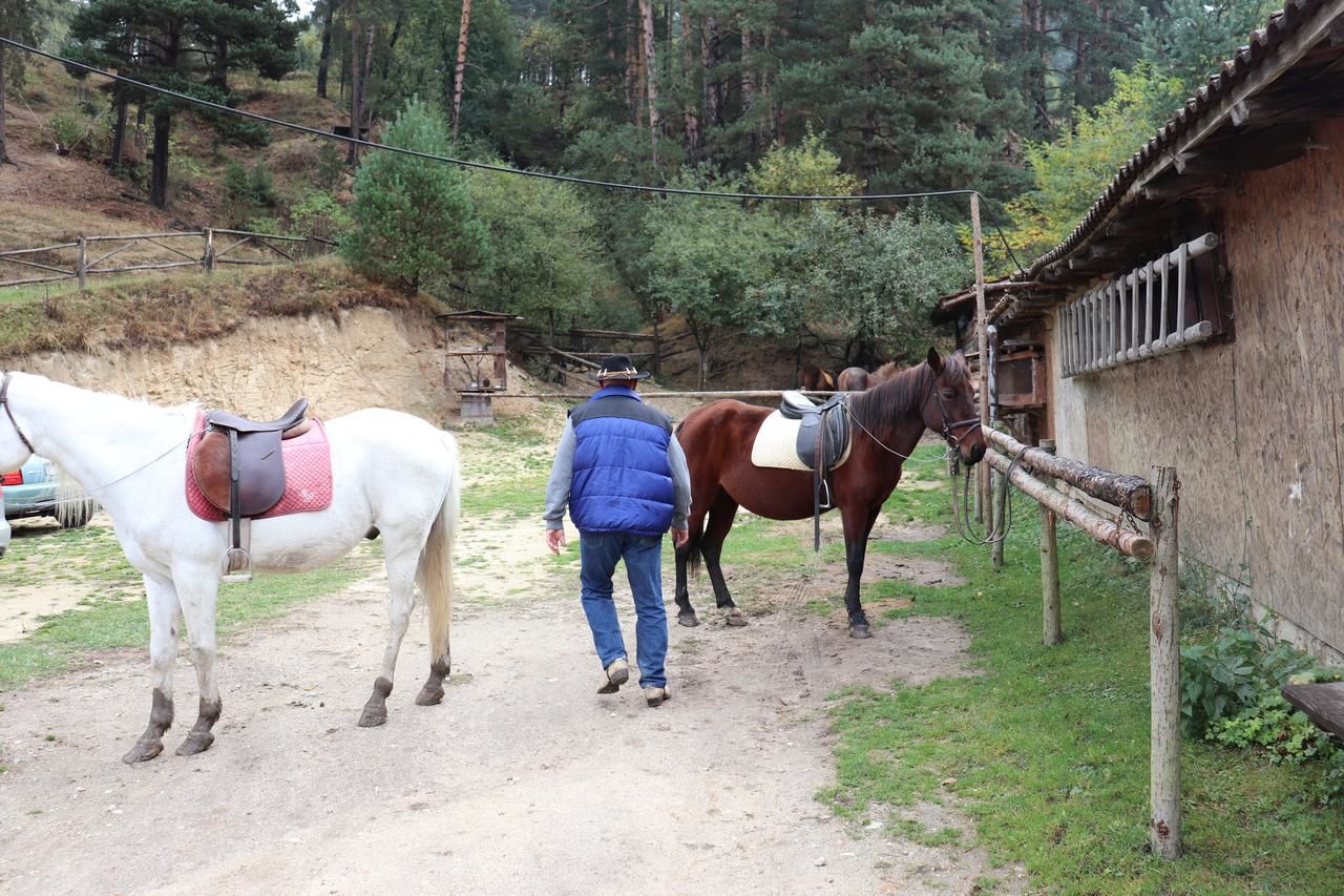 Гостевой дом Dona Guest House - Horse Riding Копривштица-9