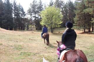 Гостевой дом Dona Guest House - Horse Riding Копривштица-4